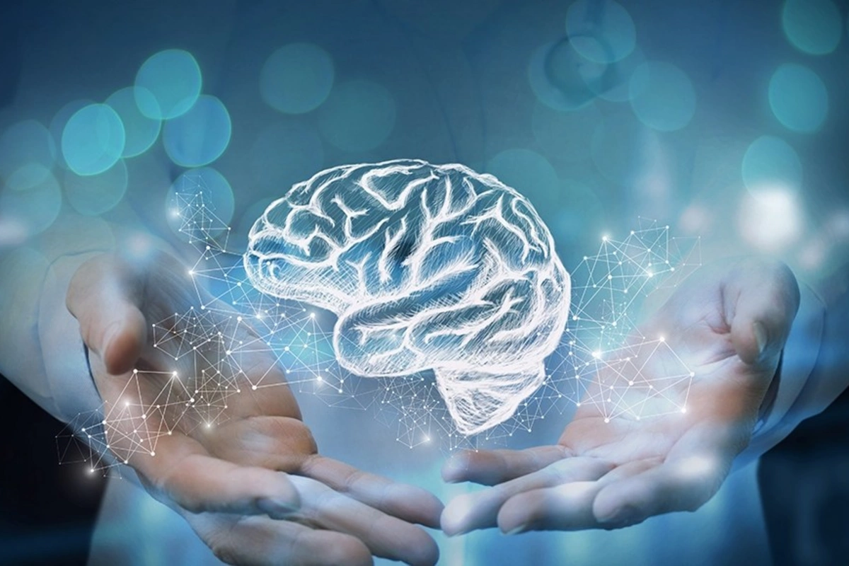 How a Habit Forms in the Brain