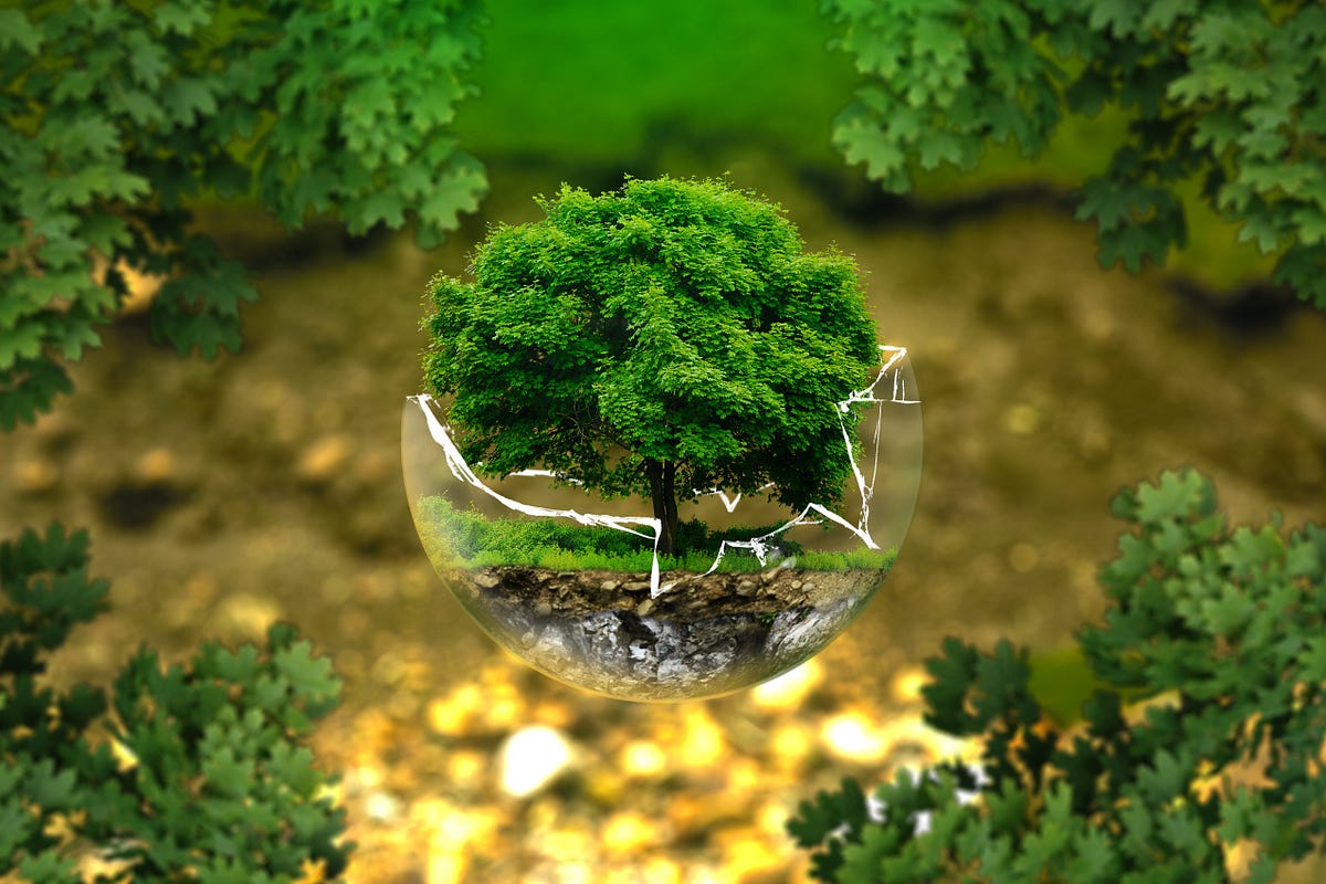 The Science of Cues: Designing Your Environment for Success