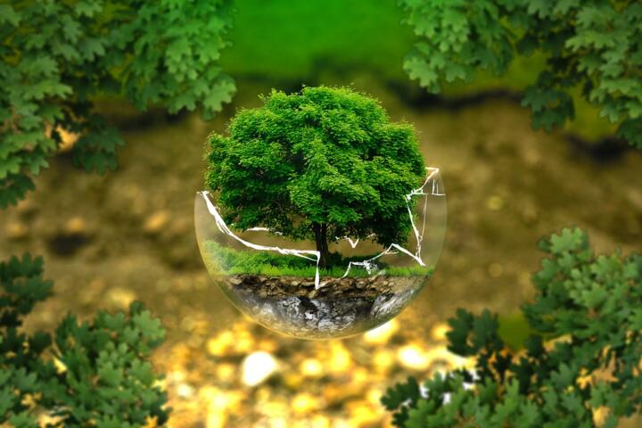 The Science of Cues: Designing Your Environment for Success
