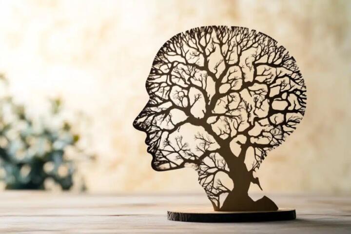 The Relationship Between Physical Health and Cognitive Output