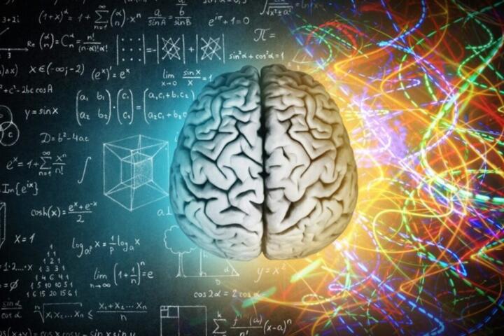 What a Second Brain Is Meant to Do