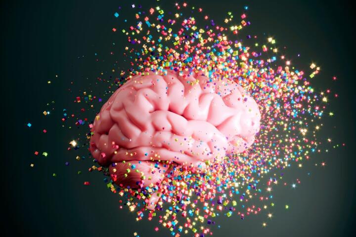 Dopamine Detox: Reset Your Brain for Habit Control